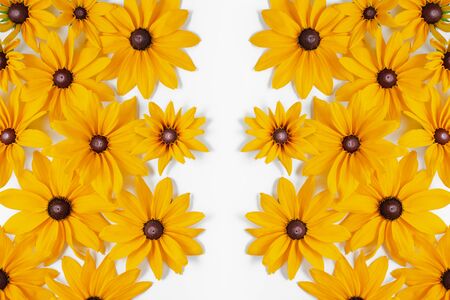 Yellow flowers represented on white background. Many flowers for decorating any post card or celebration card. Summer and autumn concept. Flat lay, top view, copy spaceの写真素材