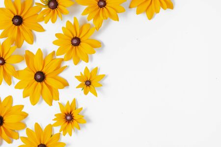 Flowers composition. Pattern made of yellow flowers on white background. Summer and autumn concept. Flat lay, top view, copy spaceの写真素材