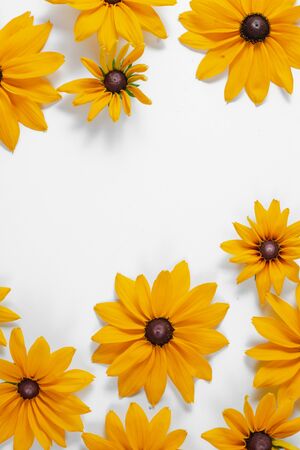 Yellow flowers represented on white background. Many flowers for decorating any post card or celebration card. Summer and autumn concept. Flat lay, top view, copy spaceの写真素材