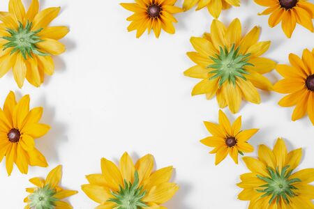 Yellow flowers represented on white background. Many flowers for decorating any post card or celebration card. Summer and autumn concept. Flat lay, top view, copy spaceの写真素材