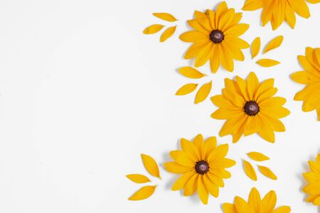 Yellow flowers represented on white background. Many flowers for decorating any post card or celebration card. Summer and autumn concept. Flat lay, top view, copy spaceの写真素材