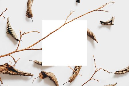 Autumn composition. Dried leaves, wooden branch and white frame on pastel gray background. Autumn and thanksgiving day concept. Flat lay, top view, copy spaceの写真素材