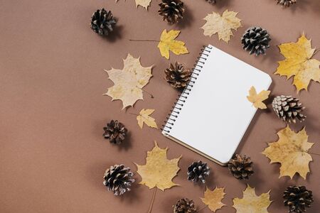Autumn composition. Notebook, autumn maple leaves and bumps on brown background. Flat lay, top view, copy space.の写真素材