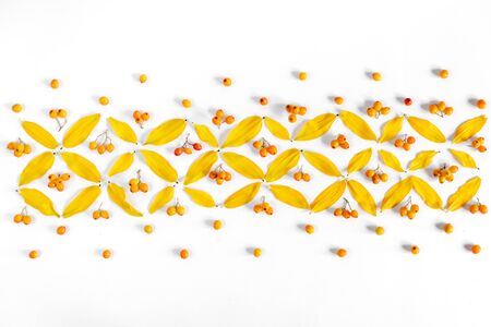Autumn composition. Pattern made of leaves and rowan on white background. Autumn, fall, thanksgiving day concept. Flat lay, top view, copy space.の写真素材