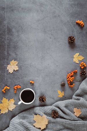 Autumn composition. A cup of coffee, sweater, cones, berry rowan and autumn leaves maple on dark concrete background. Autumn, winter concept. Flat lay, top view, copy spaceの写真素材