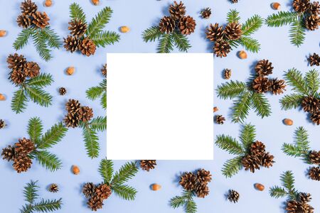Christmas composition. Tree branches, pine, white frame, acorn on pastel blue background. Christmas,...