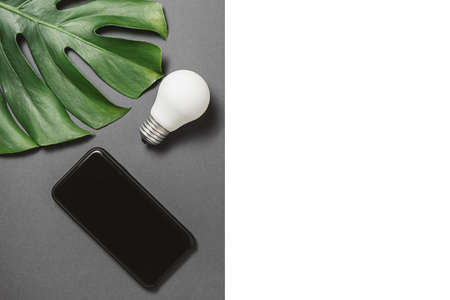 Creativity inspiration, ideas concepts with light bulb, green leaf monstera and modern smartphone with copy space on gray and white background minimal style. Template for blog social mediaの写真素材