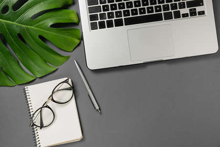 Template for blog social media. Workspace with laptop, pen, monstera leaves, eyeglasses and notebook on gray background minimal style. Flat lay, top view office table desk.の写真素材