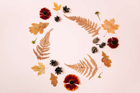 Autumn composition. Wreath made of dried maple leaves, red flowers, ferns, pine cones on pink studio background for advertisement. Autumn, fall, thanksgiving day concept. Flat lay, top viewの写真素材