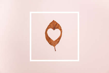 Creative Top view flat lay autumn composition dried leaf with heart carved in middle and white frame on pink background copy space Template sale mockup fall harvest thanksgiving promotion flyersの写真素材
