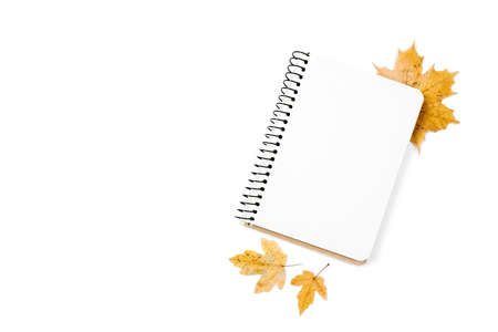Autumn flat lay overhead top view dried maple leaves and notebook on white background copy space minimal style. Fall season template for feminine blog social media. Creative compositionの写真素材