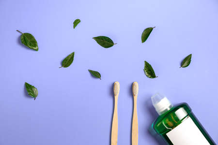 Oral care products. Mouthwash, two wooden bamboo eco friendly toothbrushes, green leaf on purple background. Teeth hygiene concept. Flat lay, copy spaceの写真素材