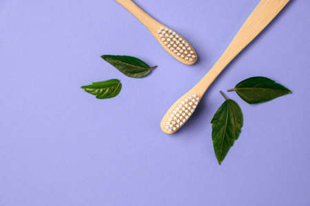 Zero waste. Two wooden bamboo eco friendly toothbrushes and green leaf on purple background. Dental...