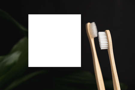 Two eco natural bamboo toothbrushes and white frame on black background. Sustainable lifestyle and zero waste home. Dental care and Eco friendly and reuse concept. Copy spaceの写真素材