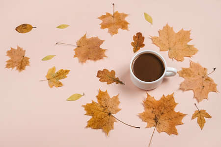 Autumn flat lay with dry leaves and coffee cup on pastel beige studio background wall with copy...