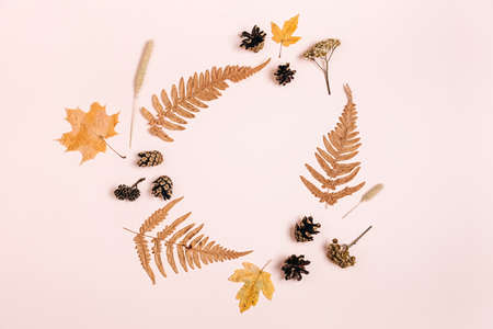 Autumn, thanksgiving day and winter concept. Dried maple leaves, fern and pine cones on pastel pink...