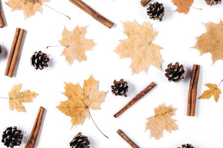 fall composition. Dried maple leaves, cinnamon, cones on white studio background wall. Autumn and thanksgiving day concept. Flat lay, top view, copy spaceの写真素材