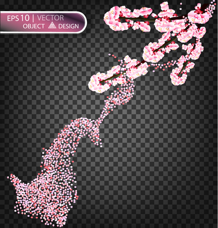 Pink petals fall on a transparent background. Vector illustration for design greeting card posters for spring holidays. Flowering Japanese cherry.のイラスト素材