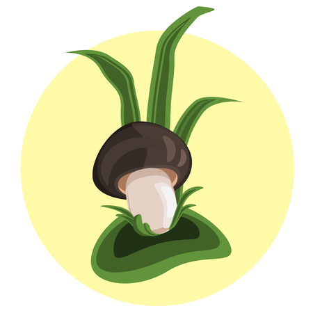 The fungus Agaricus on the Meadow under the green grassのイラスト素材