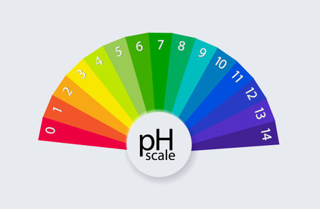pH scale chart for acid and alkaline solutions. Acid-base balance infographic. Vectorのイラスト素材
