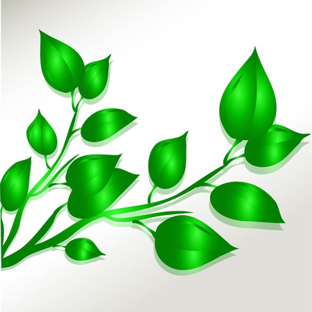  Vector illustration of green leavesのイラスト素材