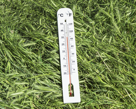 thermometer on green grassの写真素材