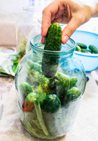 Canned cucumbers