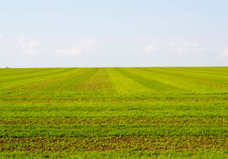 spring fieldの写真素材