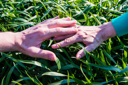 two handsの写真素材