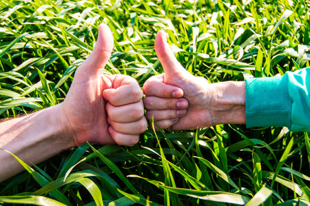 high spiritsの写真素材