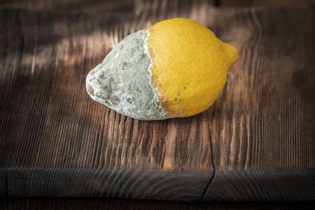 rotten lemon on a wooden boardの写真素材