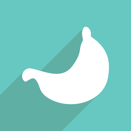 Flat vector icon with shadow and modern design stomachのイラスト素材