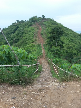 The Hill