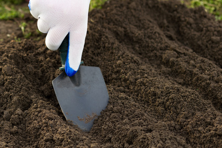 Close up of gardener's gloved hand planting with a small shovel on brown soil surface backgroundの写真素材