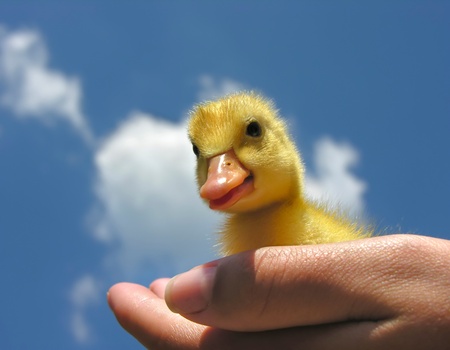           first supportの写真素材