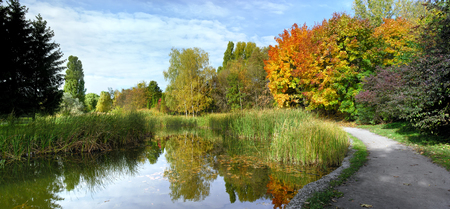 panoramic image of the autumn park in Octoberの写真素材