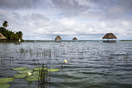 The amazing lagoon of seven colors in Bacalar,South of Quintana Roo state,Mexicoの写真素材