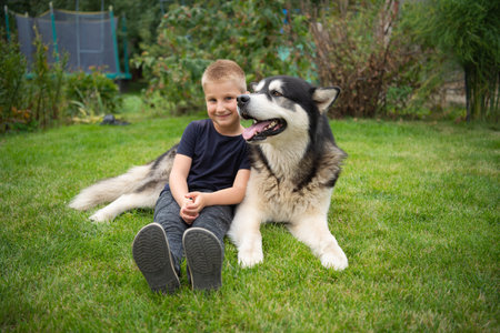 A boy with a dog on a green grass meadowの写真素材