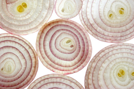 Onion slicesの写真素材