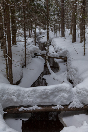 Stream in the snow-covered forest in early springの写真素材