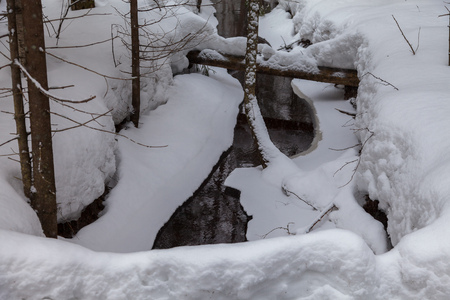 Stream in the snow-covered forest in early springの写真素材