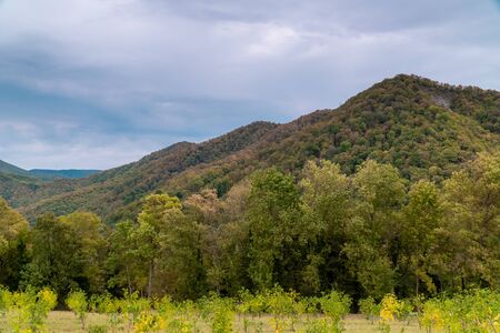 Russia. Krasnodar region. Picturesque forest and mountain views in the vicinity of Gelendzhik.