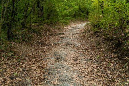 Russia. Krasnodar region. Picturesque forest and mountain views in the vicinity of Gelendzhik.の写真素材