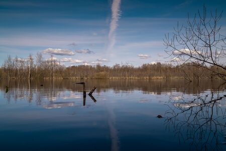 Russia. Saint-Petersburg. Spring views of landscape parks and squares of Saint Petersburgの写真素材