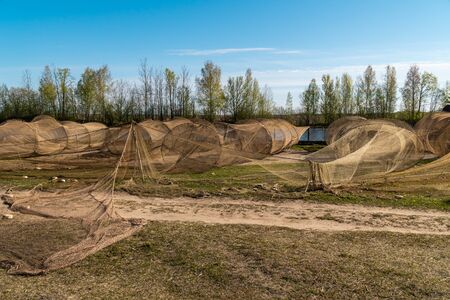 Russia. Leningrad region. Old fishing nets placed on the shore in the early morning before fishing on lake Ladoga in the city of Novaya Ladoga.の写真素材