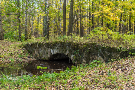 Ancient tuff bridge in the English Park of Petrodvorets.の写真素材