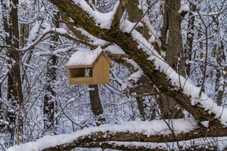 Russia. Kronstadt. A bird feeder in a winter snow-covered forest.の写真素材