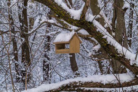 Russia. Kronstadt. A bird feeder in a winter snow-covered forest.の写真素材
