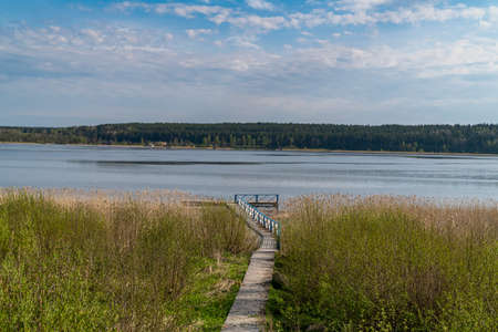 Russia. May 15, 2021. Morning spring landscape in warm sunny weather on Sukhodolsky Lake in the Leningrad region.のeditorial素材