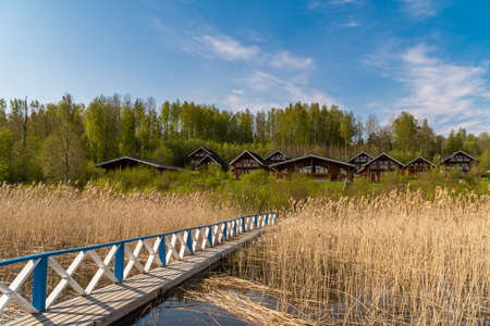 Russia. May 15, 2021. Morning spring landscape in warm sunny weather on Sukhodolsky Lake in the Leningrad region.のeditorial素材